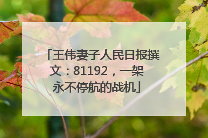 王伟妻子人民日报撰文：81192，一架永不停航的战机