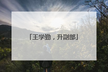王学勤，升副部