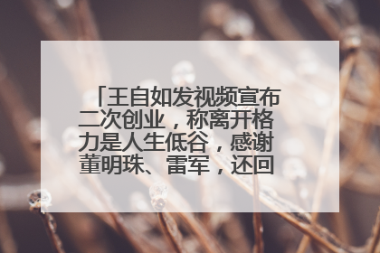 王自如发视频宣布二次创业，称离开格力是人生低谷，感谢董明珠、雷军，还回应了“工资条”：清楚自己要什么……