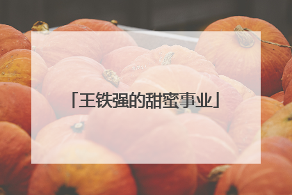 王铁强的甜蜜事业