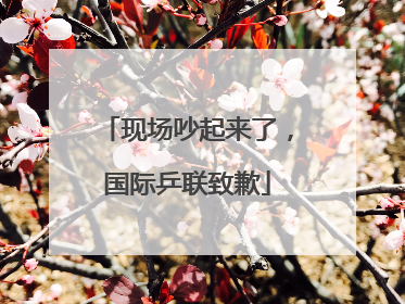 现场吵起来了，国际乒联致歉