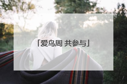 爱鸟周 共参与