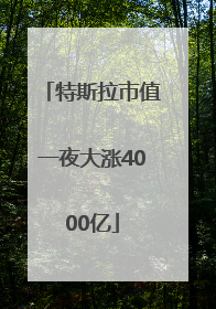 特斯拉市值一夜大涨4000亿