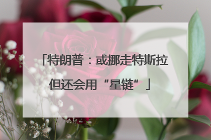 特朗普：或挪走特斯拉 但还会用“星链”