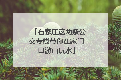 石家庄这两条公交专线带你在家门口游山玩水