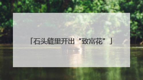 石头缝里开出“致富花”