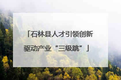石林县人才引领创新驱动产业“三级跳”