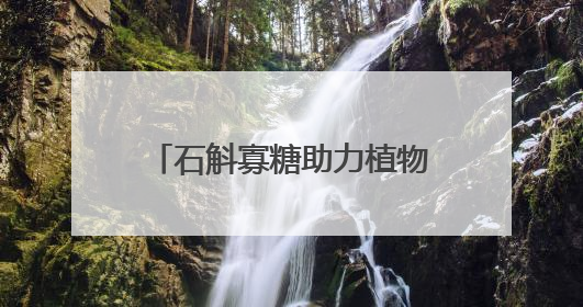石斛寡糖助力植物医生防晒新品，展现中国成分的力量