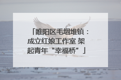 睢阳区毛堌堆镇：成立红娘工作室 架起青年“幸福桥”