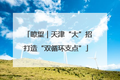 瞭望｜天津“大”招打造“双循环支点”