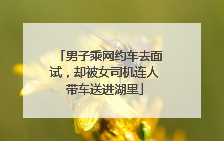 男子乘网约车去面试，却被女司机连人带车送进湖里