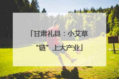 甘肃礼县：小艾草“链”上大产业