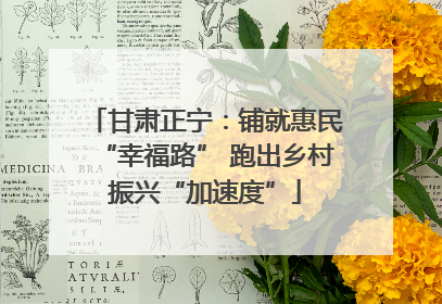 甘肃正宁：铺就惠民“幸福路” 跑出乡村振兴“加速度”