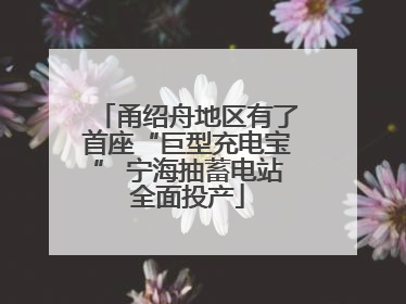 甬绍舟地区有了首座“巨型充电宝” 宁海抽蓄电站全面投产