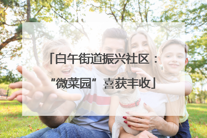 白午街道振兴社区：“微菜园”喜获丰收
