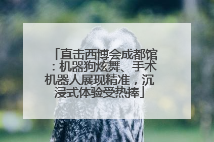 直击西博会成都馆：机器狗炫舞、手术机器人展现精准，沉浸式体验受热捧