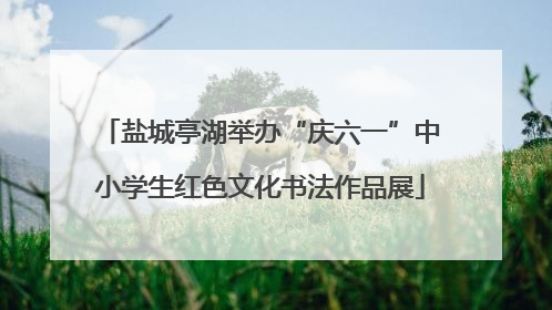盐城亭湖举办“庆六一”中小学生红色文化书法作品展