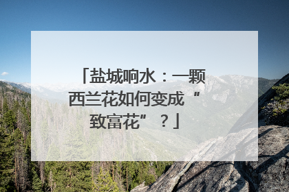盐城响水：一颗西兰花如何变成“致富花”？
