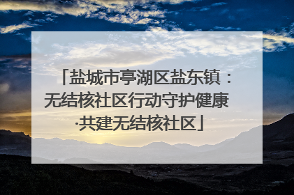盐城市亭湖区盐东镇：无结核社区行动守护健康 ·共建无结核社区