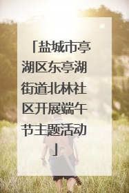 盐城市亭湖区东亭湖街道北林社区开展端午节主题活动