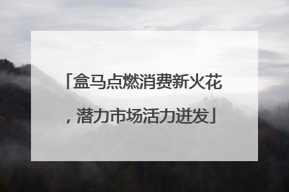 盒马点燃消费新火花，潜力市场活力迸发