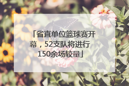 省直单位篮球赛开幕，52支队将进行150余场较量