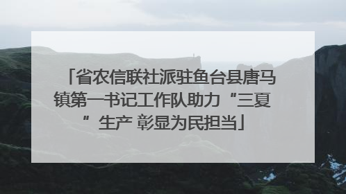 省农信联社派驻鱼台县唐马镇第一书记工作队助力“三夏”生产 彰显为民担当