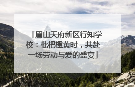 眉山天府新区行知学校：枇杷橙黄时，共赴一场劳动与爱的盛宴