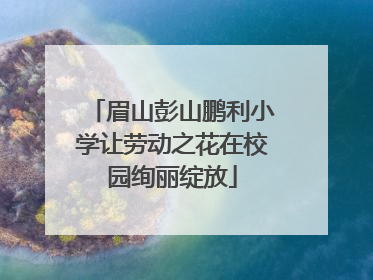眉山彭山鹏利小学让劳动之花在校园绚丽绽放
