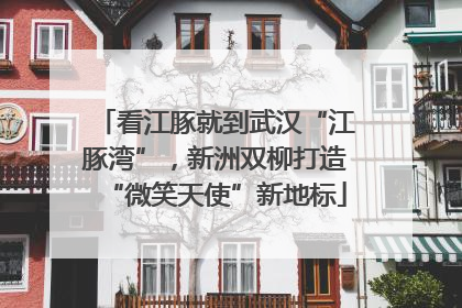 看江豚就到武汉“江豚湾”，新洲双柳打造“微笑天使”新地标