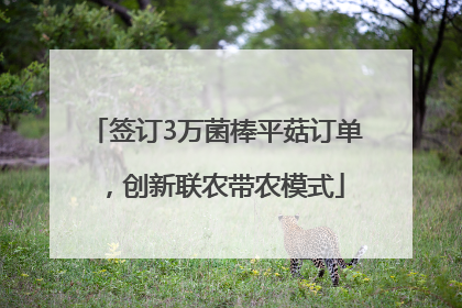 签订3万菌棒平菇订单，创新联农带农模式