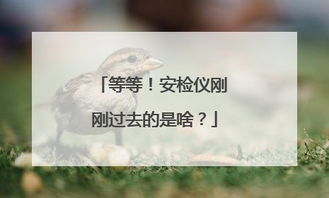 等等！安检仪刚刚过去的是啥？
