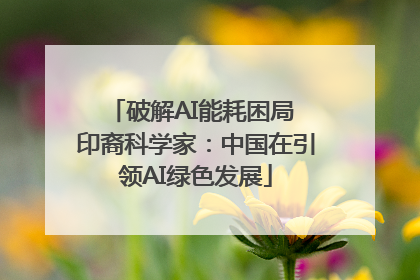 破解AI能耗困局 印裔科学家：中国在引领AI绿色发展