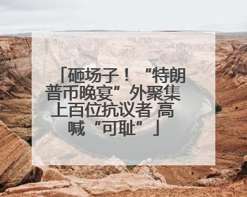 砸场子！“特朗普币晚宴”外聚集上百位抗议者 高喊“可耻”