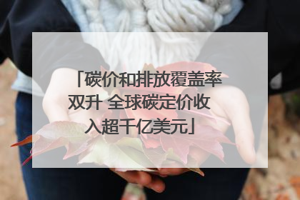 碳价和排放覆盖率双升 全球碳定价收入超千亿美元