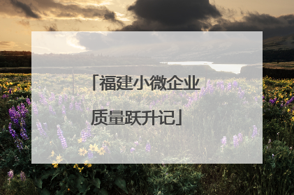 福建小微企业质量跃升记