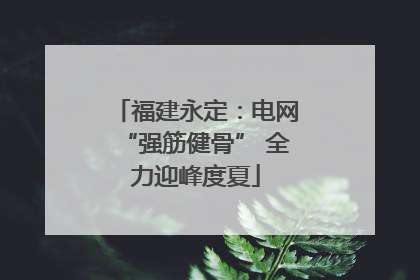 福建永定：电网“强筋健骨” 全力迎峰度夏