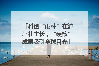 科创“雨林”在沪茁壮生长，“硬核”成果吸引全球目光