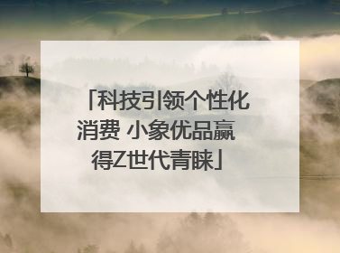科技引领个性化消费 小象优品赢得Z世代青睐