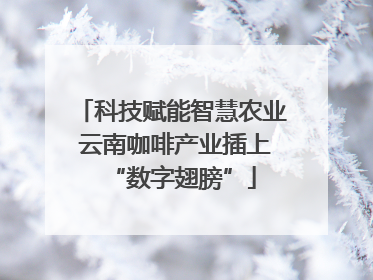 科技赋能智慧农业 云南咖啡产业插上“数字翅膀”