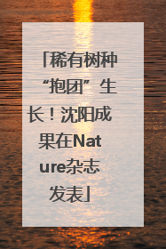 稀有树种“抱团”生长！沈阳成果在Nature杂志发表