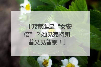 究竟谁是“女安倍”？她见完特朗普又见普京！
