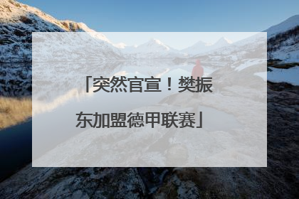 突然官宣！樊振东加盟德甲联赛