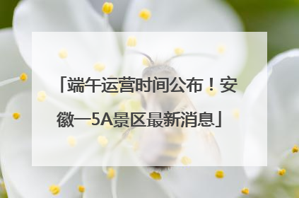 端午运营时间公布！安徽一5A景区最新消息