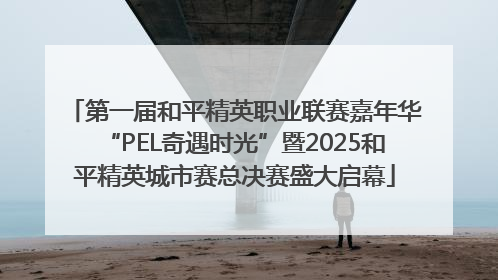 第一届和平精英职业联赛嘉年华“PEL奇遇时光”暨2025和平精英城市赛总决赛盛大启幕