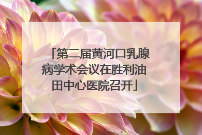 第二届黄河口乳腺病学术会议在胜利油田中心医院召开