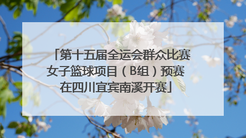 第十五届全运会群众比赛女子篮球项目（B组）预赛在四川宜宾南溪开赛
