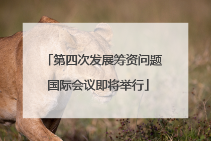 第四次发展筹资问题国际会议即将举行