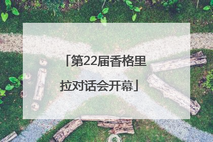 第22届香格里拉对话会开幕