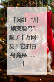 网红“川剧变脸鸟”骗了千万网友！它的真身竟是……